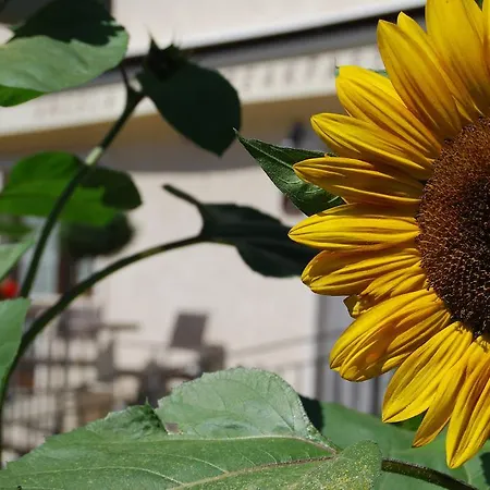 Bed & Breakfast Angela Scanno