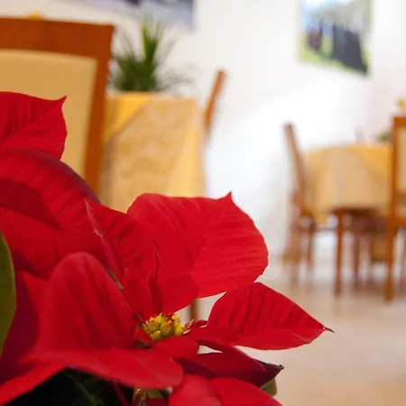 Angela Bed and Breakfast 3*