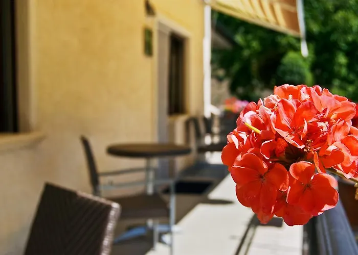 Bed & Breakfast Angela