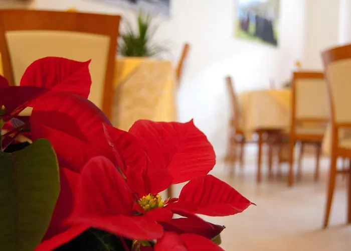 Angela Bed & Breakfast 3*