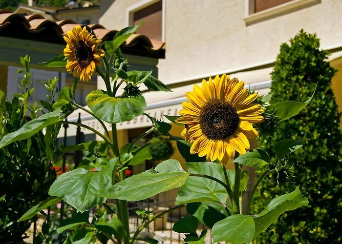 Bed & Breakfast Angela Scanno